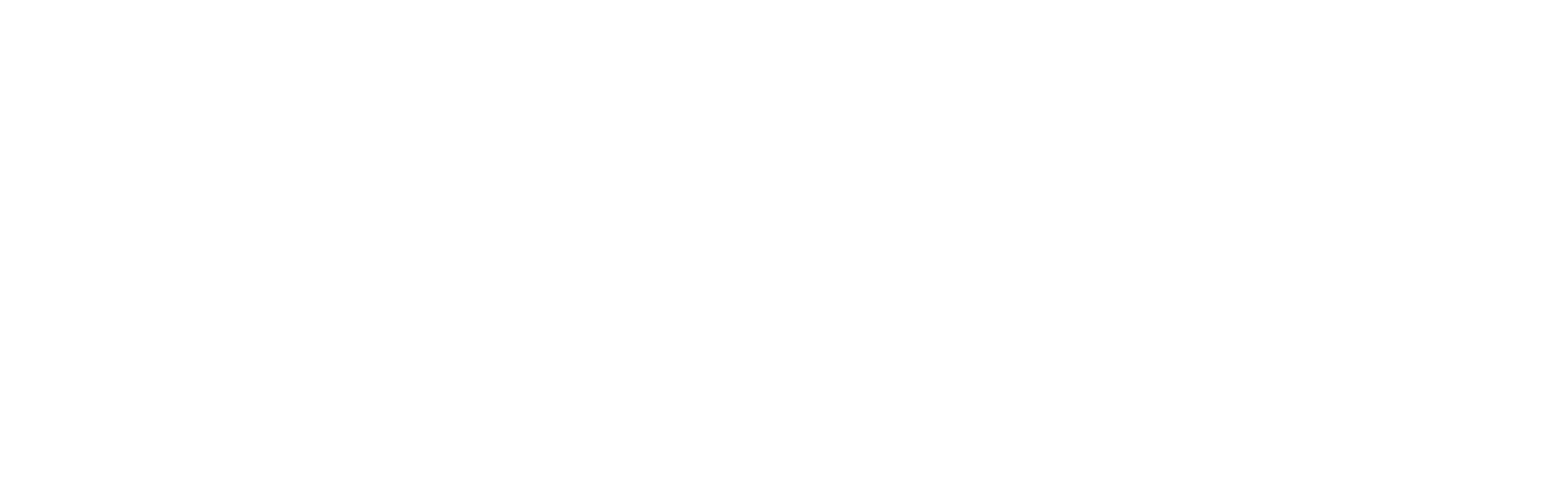 logo Magnoria - tout l'art de Fary Tail