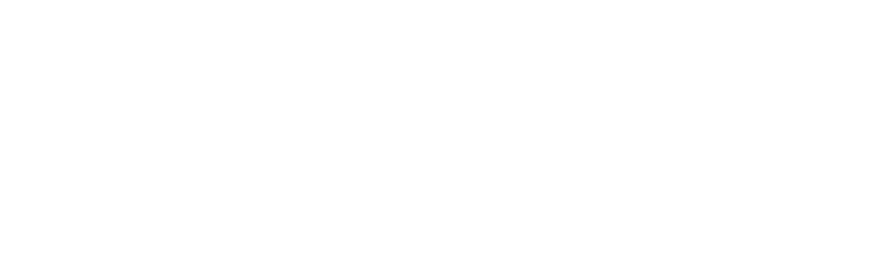 L'été qu'on n'a jamais quitté