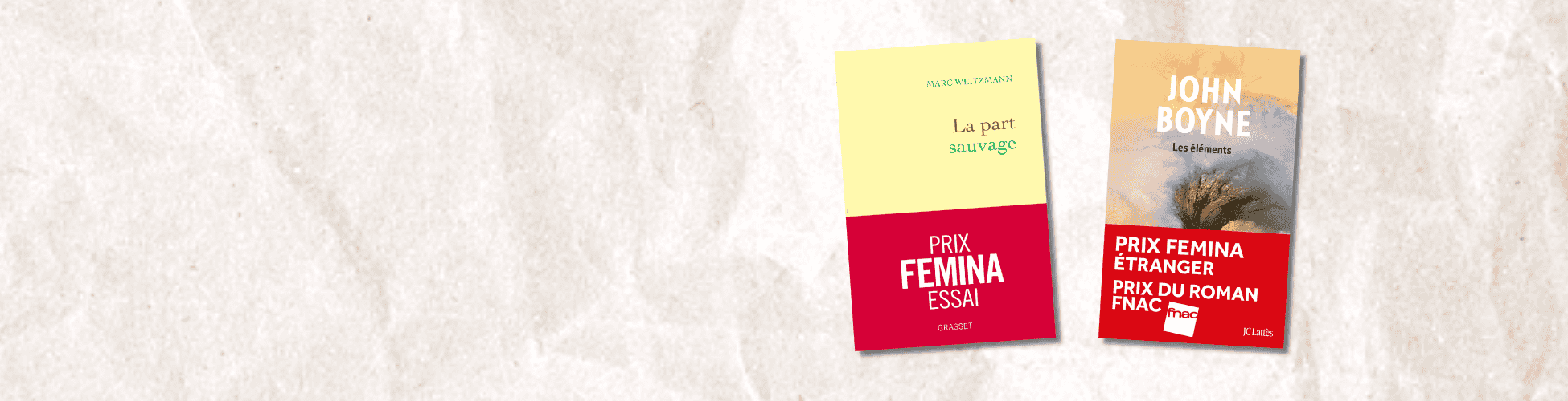 Prix Femina 2025