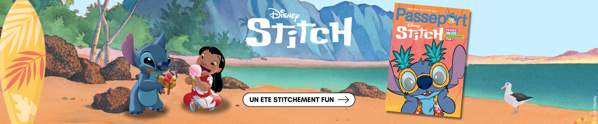 Disney-stitch-adulte-Bannieres-CDV-2026