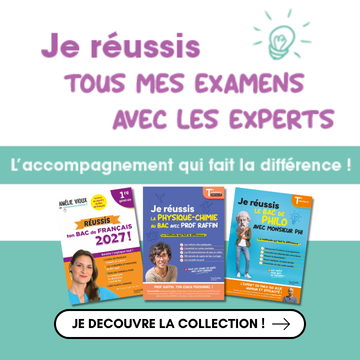 Réussir les épreuves du bac avec les experts