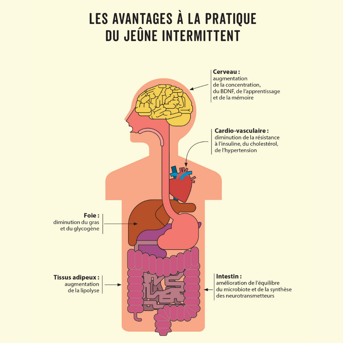 Jeûne intermittent allaitement: Conseils et astuces