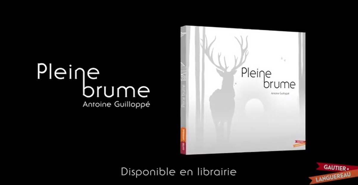 Pleine Brume par Antoine Guilloppé : la vidéo | Mes livres jeunesse