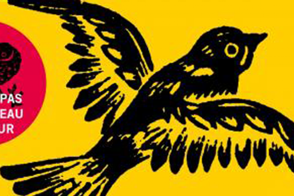 Harper Lee : la suite de "Ne tirez pas sur l’oiseau moqueur" débarque