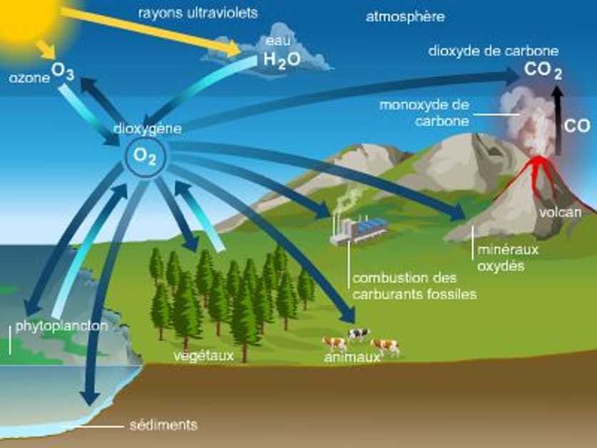 Cycle de l'oxygène Éditions Larousse — free download