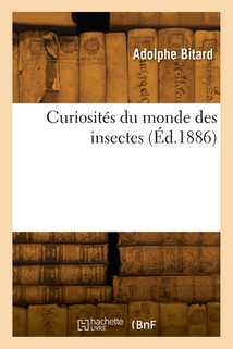 Curiosités du monde des insectes