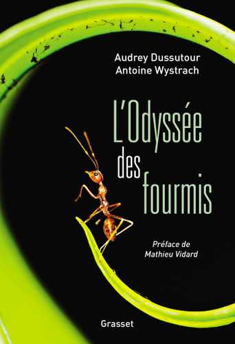 L'Odyssée des fourmis (Grand format - Broché 2022), de Audrey