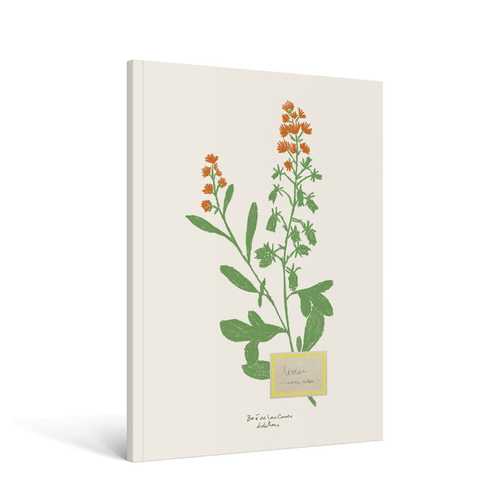 Carnet Fleurs A5 - Zoé de Las Cases
