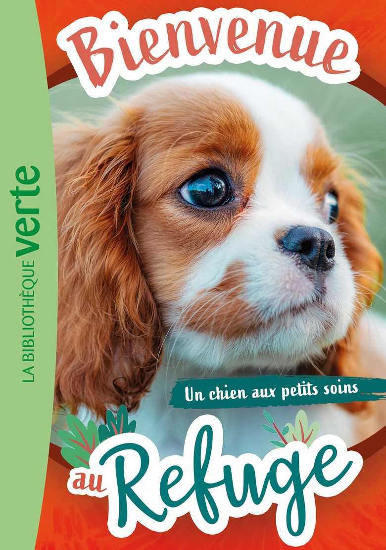 couverture de : Un chien aux petits soins