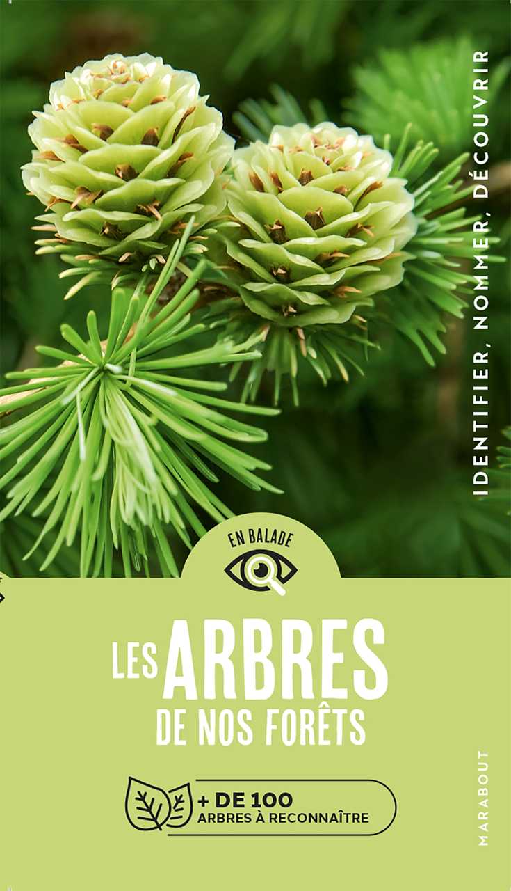 Le Livre Des Arbres Et Plantes Qui Restent A Decouvrir 595dE3Ik3fIUGM