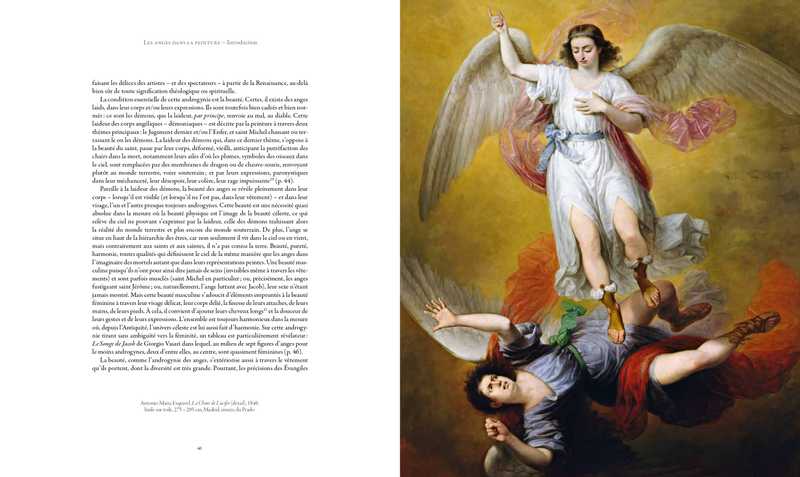 Anges Gaiens, Livre 1 : La Toile De L'Éveil - Iom Kosta