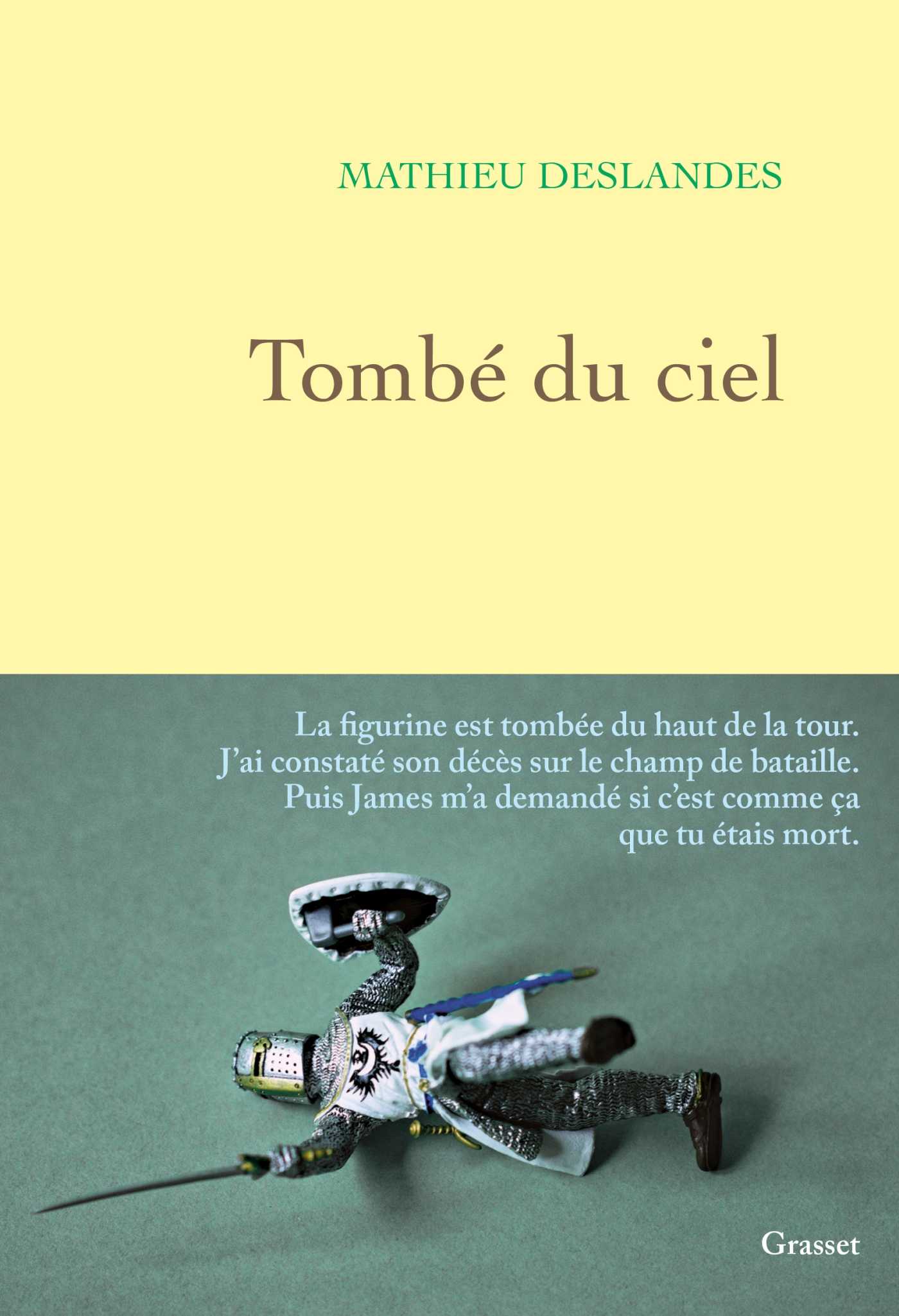 Tombé du ciel (Grand format - Broché 2023), de Mathieu Deslandes