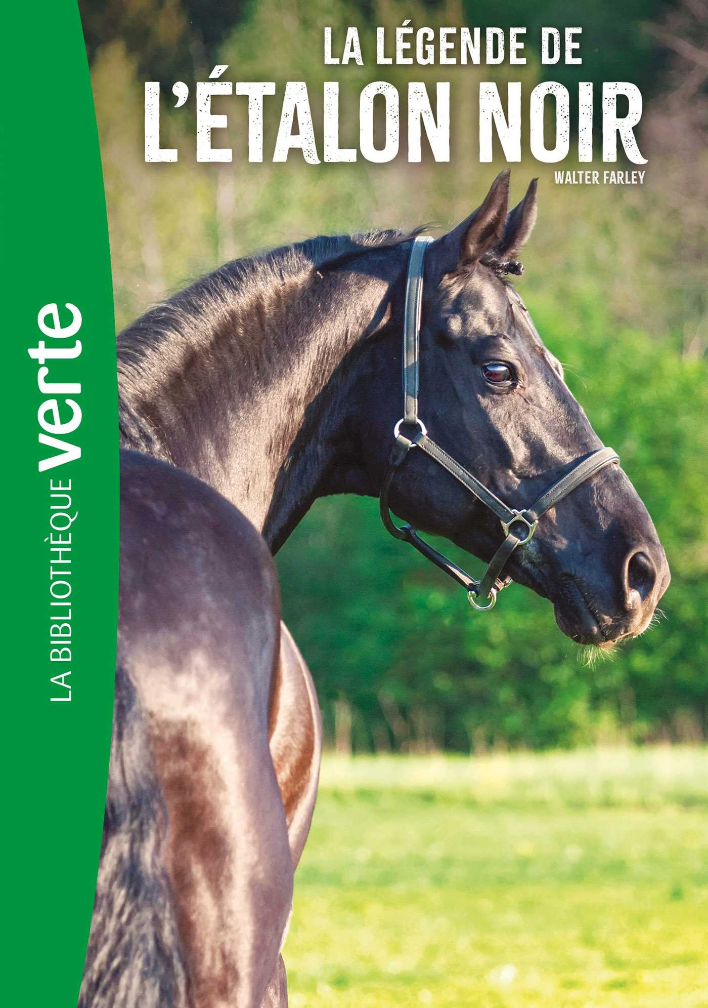 Veste De Soudure Coton Noir AngelFire Pour Femme - Taille X-Large, Marque Black Stallion