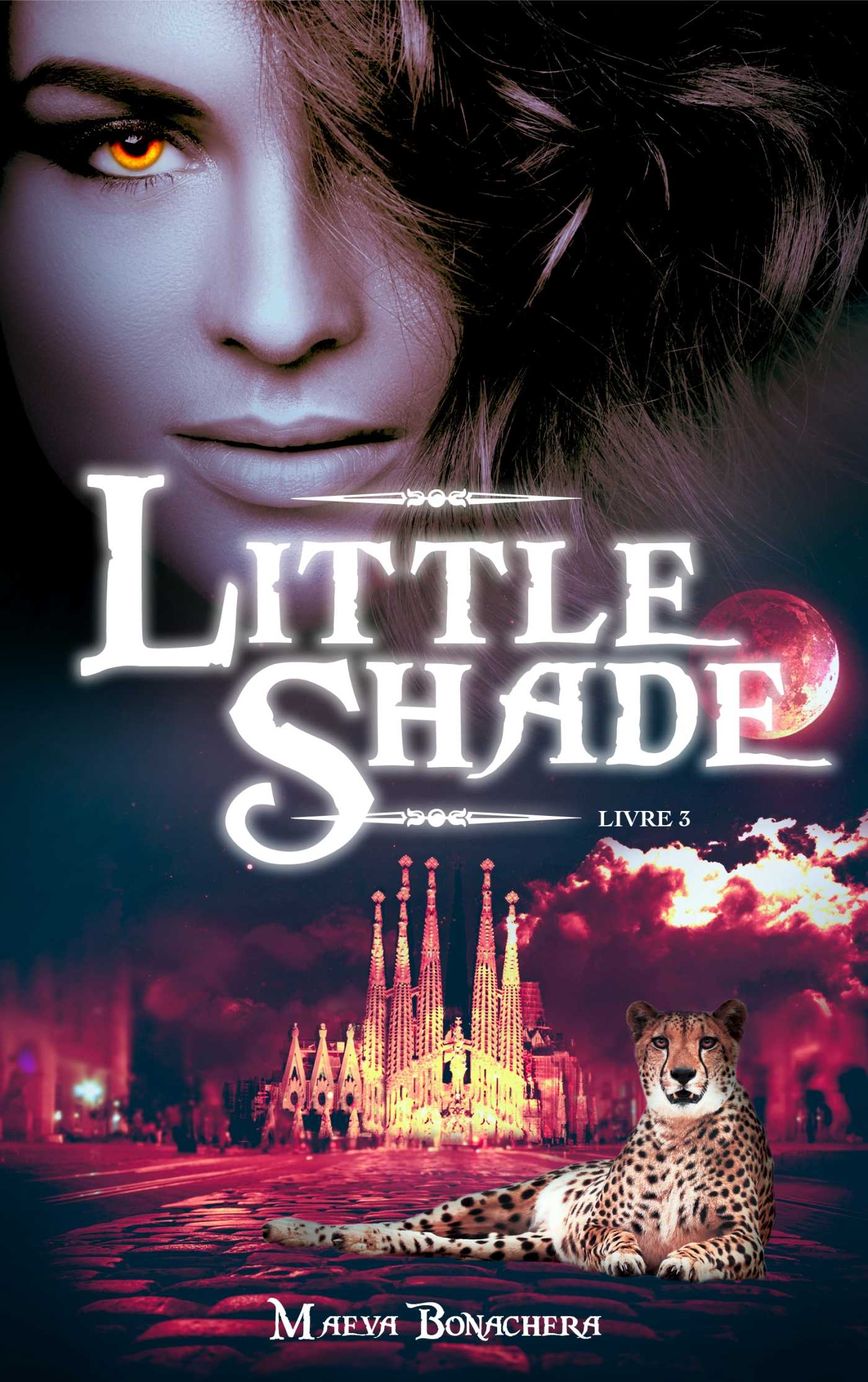 Little Shade - Tome 3 (Fichier (ebook, pdf) 2021), de Maeva