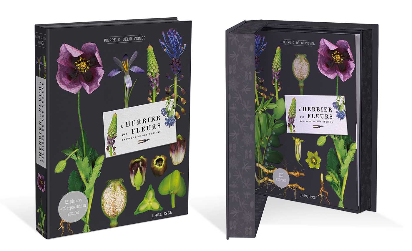 植物図鑑　HERBIER DES FLEURS DE MONTAGNE フランス植物図鑑 HERBIER DES FLEURS DE MONTAGNE L'herbier des
