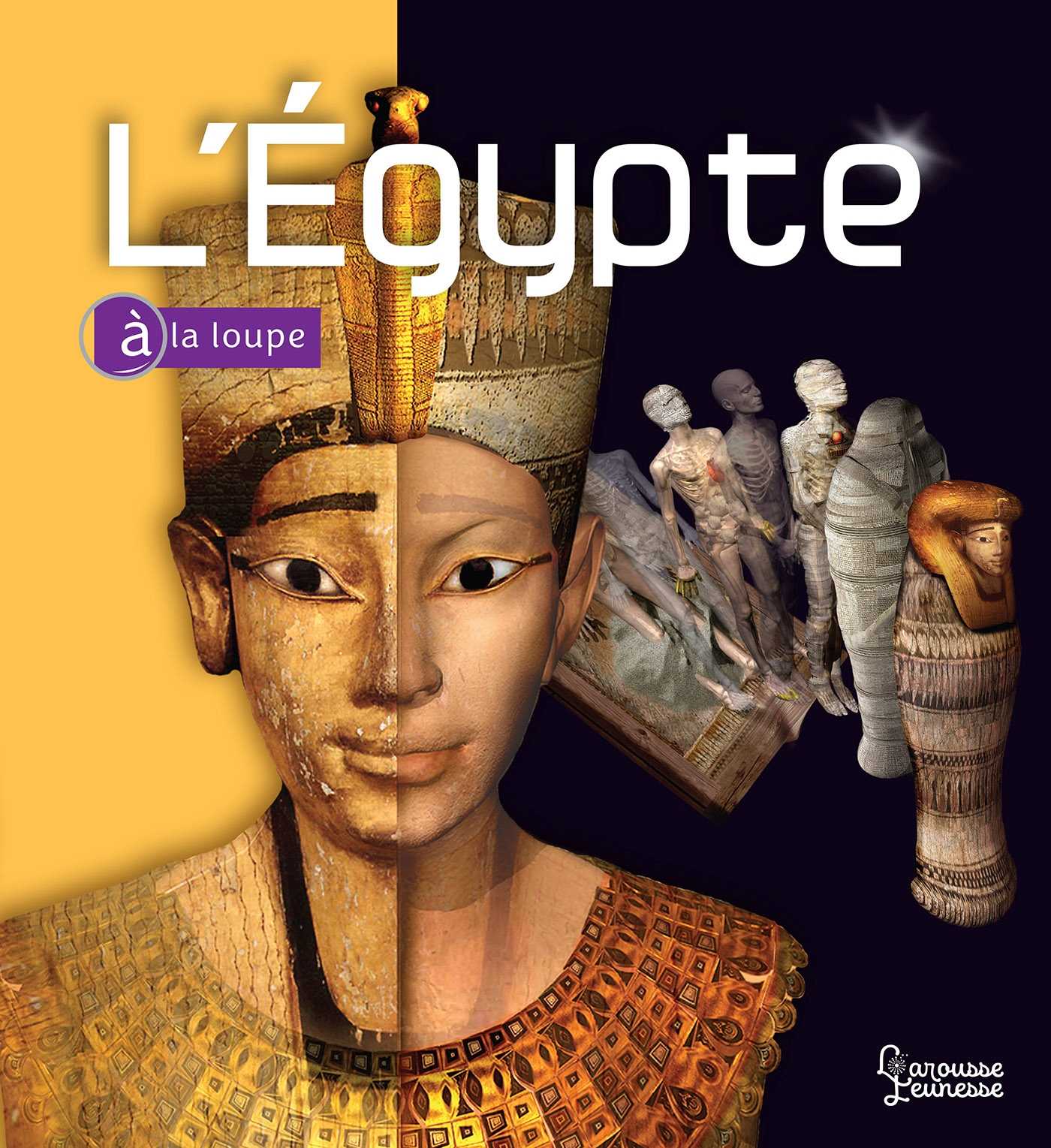 Amazon.com: Grand Livre de l'Egypte Ancienne (le