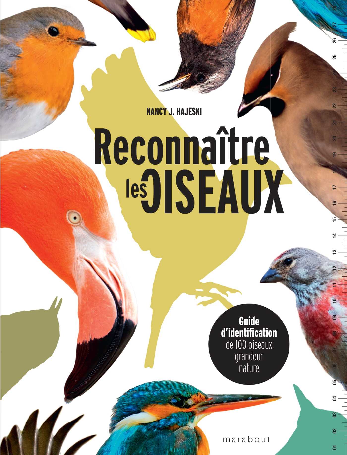 Reconnaître les oiseaux (Grand format - Broché 2024), de Nancy J